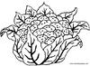 Lamina para colorear Dibujos de Verduras. Verduras